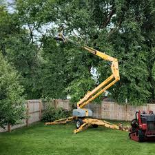 Mulching Services in Fort Bliss, TX